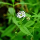 키털이 월드 이미지