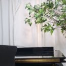 숲음악교습소 이미지