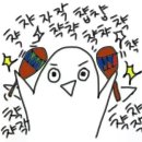 소가네 이미지