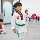 우리아이 태권도장 이미지