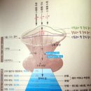 이오커피 이미지