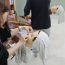 이용사 자격증 이미지