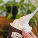 상아냉동 이미지