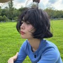 아즈뮤헤어 이미지