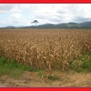 도수농장 이미지