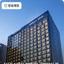 스테이놀 이미지