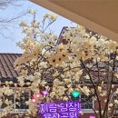 목련공원 화장실 이미지