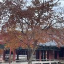 길상식당 | 광주근교 단풍, 순천 송광사 / 길상식당 후기