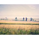 뜰과풍경 이미지