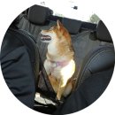 몽드드뚜뚜 이미지