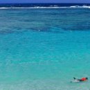 조진사고가 이미지