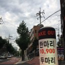 투마리나 이미지