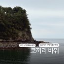 남일대해수욕장 | [ENFP부부 전국일주 경남] 사천 코끼리바위 솔직후기! (남일대해수욕장 주차, 코끼리바위 가는 법)