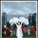 진도북춤 이미지