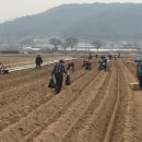 새마을 농장 이미지