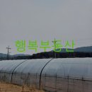 산이농협주유소 이미지