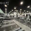 엘바디핏 이미지