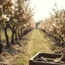 정정농장 이미지