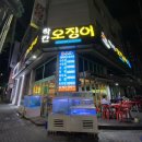 착칸오징어
