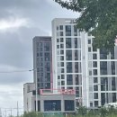 일타 태권도장 이미지