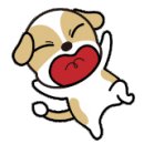 문배동육칼 김포공항점 이미지