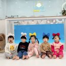 써니풀 이미지