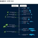 "인간의 자연수명은 38년"...DNA가 말했다 이미지