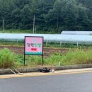 스마일광고기획 이미지