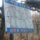 영산산림 이미지
