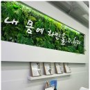 바디체크짐 이미지