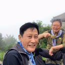 대티로 이미지