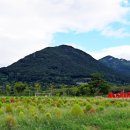 황산공원 이미지