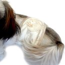 몽이애견 이미지