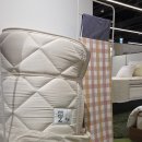 펫 갤러리아 | N32 갤러리아 광교점 모션베드 아기침대 매트리스 추천 체험 후기