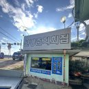 목포 풍자 또간집 &lt;선경준치회집&gt; 준치무침 / 평화광장 근처 낙지 전문점 &lt;뻘낙지&gt; 솔직후기
