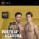 아사쿠라 카이 UFC 데뷔부터 타이틀전 소식을 보고 찾아보니 이미지