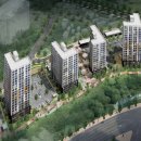 천년나무7 A 이미지