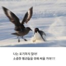 클리셰