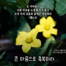 PICTURE&amp;TEXT_20230521_에베소서 6장 4절_큰 마음으로 축복하라_부활절 일곱 번째 주일 &amp; 청년 주일 묵상_수박꽃_꽃말 이미지