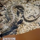태안사랑상사