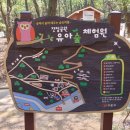 매봉산 유아숲체험원 이미지