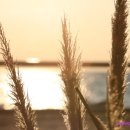 (주)황금바다 이미지