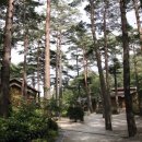 자연미림 이미지