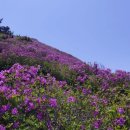 남해-141 이미지