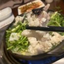 강태웅생생아구 | 강남구맛집 강태웅생생아구 아구풀코스 끝장났던집