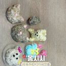 몽시시 이미지