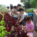 한서데이케어센터 이미지