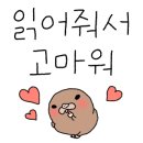 합기도정무체육관 이미지