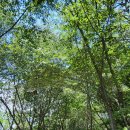 갈맷길6-2구간 이미지