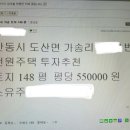션샤인팬션